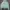WHO.A.U Vintage Hoody Pria green photo 1