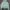 WHO.A.U Vintage Hoody Pria Green