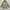 Casual Windbreaker Pria tan photo 1