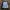 Vintage Casual Harrington jacket Pria blue photo 4