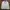 Daks Vintage Casual Harrington Jacket Pria Cream
