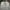 Daks Vintage Casual Harrington jacket Pria cream photo 3