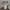 Daks Vintage Casual Harrington jacket Pria cream photo 5