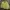 Sun Surf Vintage Casual Harrington jacket Pria yellow photo 2