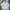 Vintage Streetwear Casual shirt Pria gray photo 1