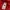Hush Puppies Coquette Casual Wanita red photo 4