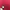 Pancoat Streetwear Hoody Pria pink photo 5