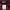Casual Windbreaker Wanita burgundy photo 4