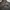 Casual Windbreaker Pria gray photo 4