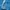 Casual Windbreaker Pria blue photo 4