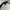 Minimalist Hat Pria white photo 6
