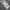 Sportswear Hoody Pria gray photo 3