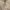 Vintage Indie Vest Pria tan photo 2