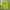 Streetwear Sweater Pria Green