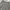 Vintage Luxury Formal pants Pria gray photo 2