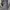 Uniqlo Casual Midi dress Wanita white black photo 4