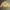 Vintage Sportswear Bomber jacket Pria yellow photo 1