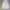 Made in USA Pakaian Nasional Hoody Pria white photo 1