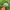 MLB Vintage Streetwear Hat Pria green photo 2