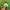 MLB Vintage Streetwear Hat Pria Green