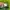 MLB Vintage Streetwear Hat Pria green photo 6