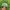 MLB Vintage Streetwear Hat Pria green photo 4