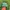MLB Vintage Streetwear Hat Pria green photo 1