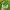 MLB Vintage Streetwear Hat Pria green photo 5