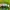 MLB Vintage Streetwear Hat Pria green photo 7