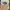 Vintage Streetwear Hat Pria tan cream photo 6