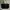 Longchamp Casual Tote bag Wanita black photo 1