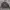 Minimalist Casual Harrington jacket Pria black gray photo 2