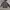 Minimalist Casual Harrington jacket Pria black gray photo 6