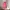 Casual Pyjama Wanita red pink photo 3