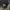 Chase Nascar Vintage Streetwear Hat Pria black photo 1