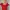 Lolita Cosplay Casual dress Wanita red photo 3
