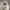 Y2K Fairy Crossbody Bag Wanita white cream photo 1