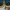 Compass Vintage Streetwear Sneakers Pria black photo 3