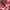 Casual Casual shirt Pria red photo 4