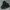 Converse Streetwear Minimalist Sneakers Pria black photo 2