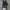 Converse Streetwear Minimalist Sneakers Pria black photo 4