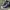 Converse Streetwear Casual Sneakers Pria navy photo 2