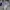 Streetwear Skater Jeans Pria white photo 6