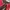 Vintage Sportswear Jersey Pria red photo 3