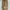 Carhartt Vintage Jeans Pria brown photo 4