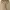 Carhartt Vintage Jeans Pria brown photo 3