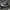 Converse Streetwear Indie Sneakers Pria black photo 1