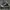 Converse Streetwear Indie Sneakers Pria black photo 5