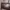 Loro Piana Luxury Shoulder bag Wanita brown photo 3