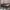 Loro Piana Luxury Shoulder bag Wanita brown photo 4
